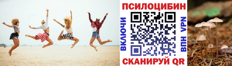 Псилоцибиновые грибы Psilocybe  Купить закладки  Кедровый 