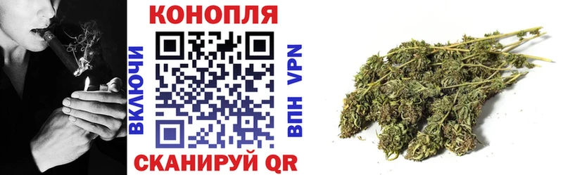 Канабис гибрид Кедровый